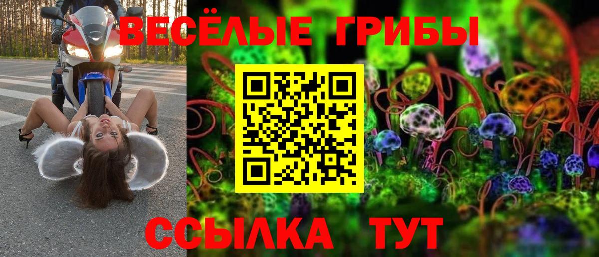 Горно-Алтайск  Псилоцибиновые грибы мицелий  Вход с VPN 